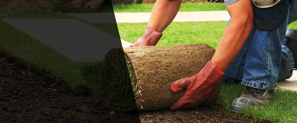 Riverview Landscapers